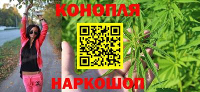 дживик Шелехов
