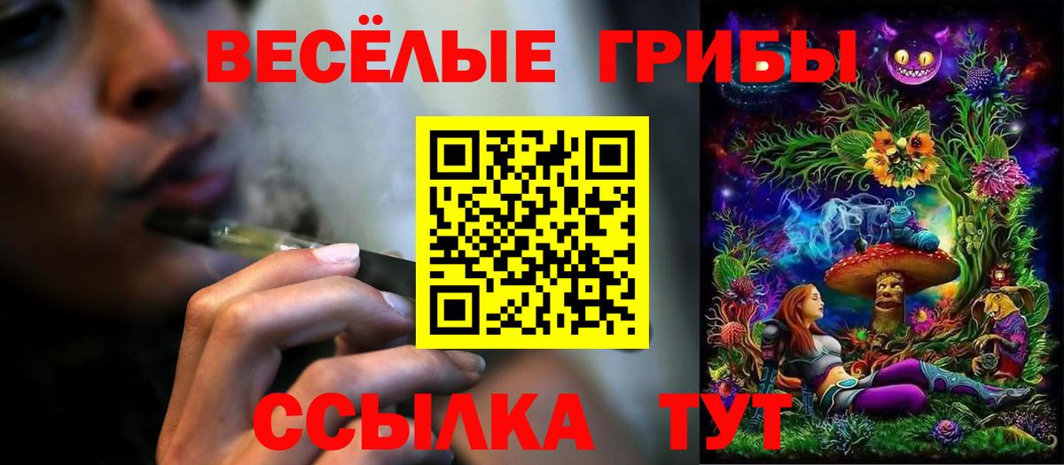Псилоцибиновые грибы Psilocybe Тольятти