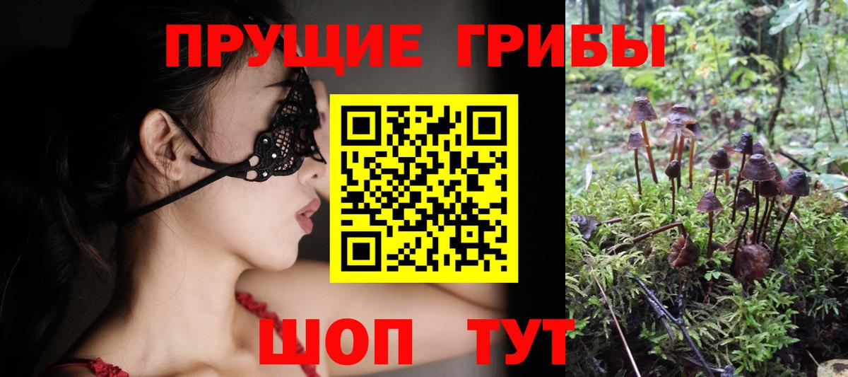 Галлюциногенные грибы прущие грибы  Псилоцибиновые грибы Psilocybe  Тольятти  Вход с VPN 